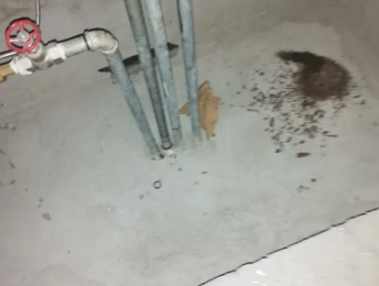 沈丘卫生间测漏水价格明细